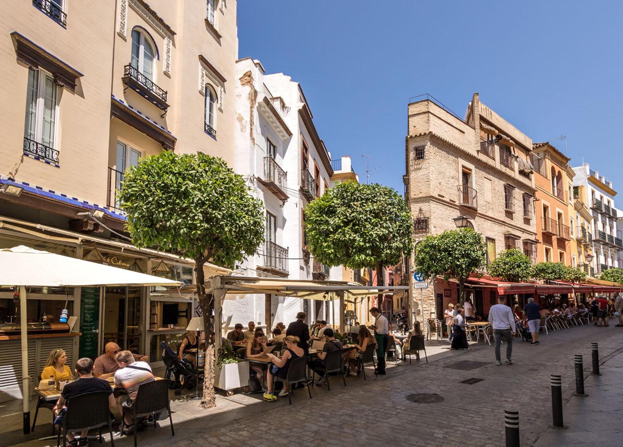 Cathedral Apartment Welcome Wheelchairs 6 Pax Sevilla Exteriör bild